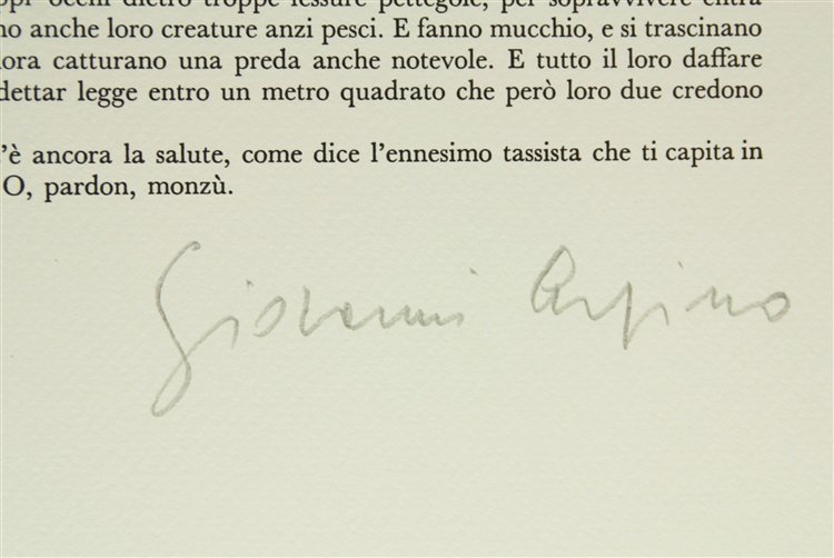 DIARIO IN CITTA' (1971)