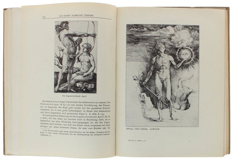 DIE KUNST ALBRECHT DÜRERS