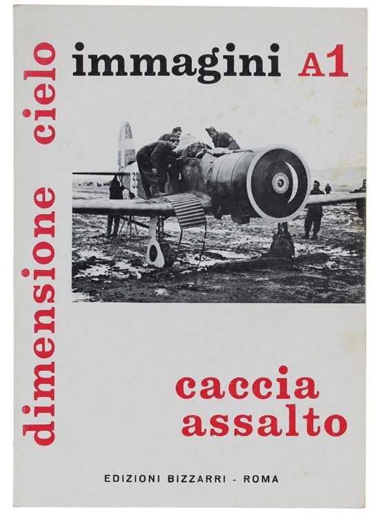 DIMENSIONE CIELO - Aerei Italiani nella 2a guerra mondiale. IMMAGINI. …