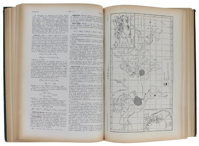 DIZIONARIO DI CHIMICA GENERALE E INDUSTRIALE. Chimica agraria, biologica, bromatologica, …