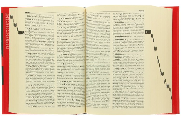 DIZIONARIO FONDAMENTALE DELLA LINGUA ITALIANA [come nuovo]