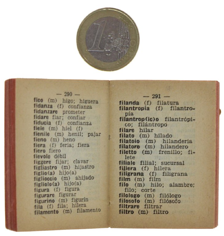 DIZIONARIO ITALIANO SPAGNOLO. 13.000 vocaboli (mm 50x40x20)