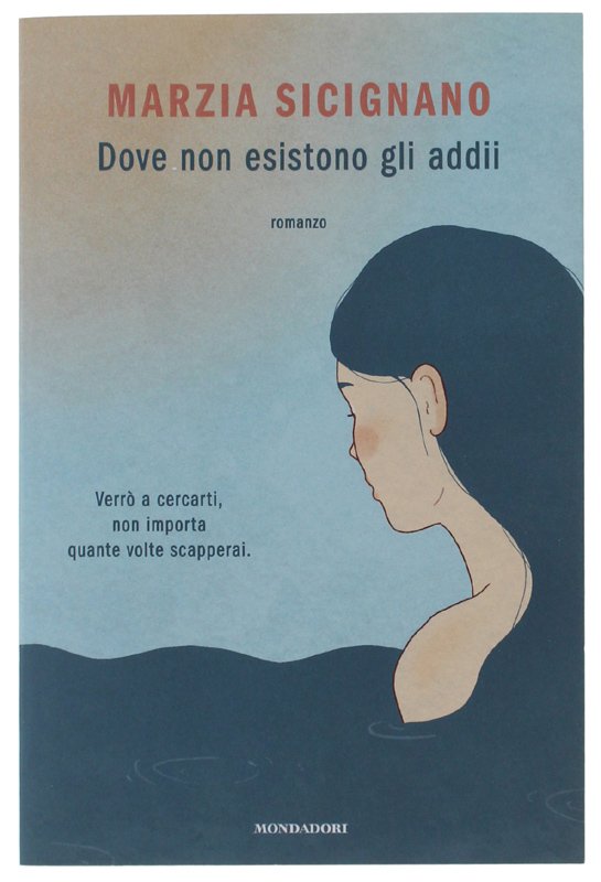 DOVE NON ESISTONO GLI ADDII [1a edizione, volume nuovo] | Immagine principale