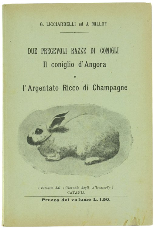 DUE PREGEVOLI RAZZE DI CONIGLI: IL CONIGLIO D'ANGORA E L'ARGENTATO …
