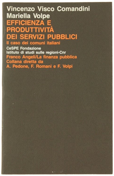 EFFICIENZA E PRODUTTIVITA' DEI SERVIZI PUBBLICI. Il caso dei comuni …