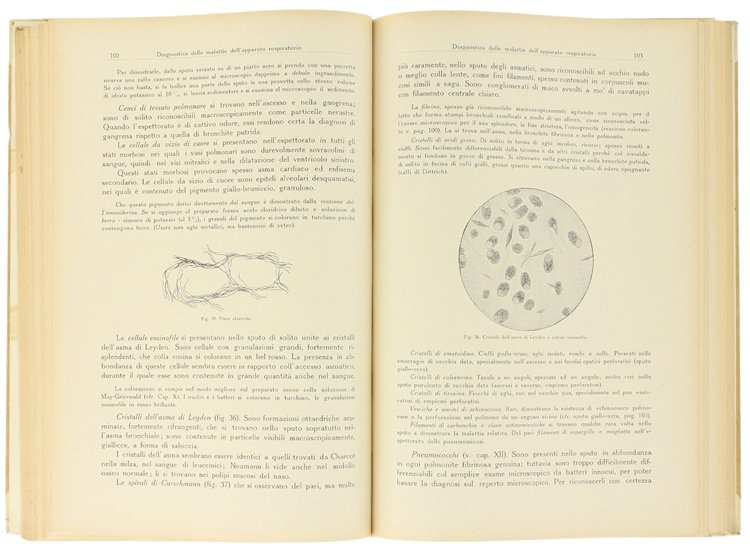 ELEMENTI DI DIAGNOSTICA CLINICA.