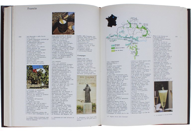 ENCICLOPEDIA DEI VINI DEL MONDO [prima edizione - come nuovo]