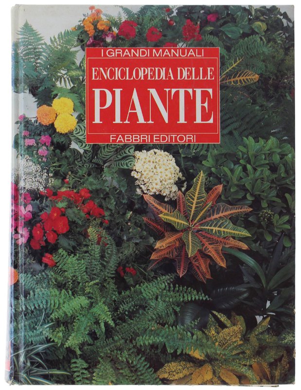 ENCICLOPEDIA DELLE PIANTE