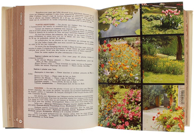 ENCYCLOPEDIE PRATIQUE DU JARDINAGE.