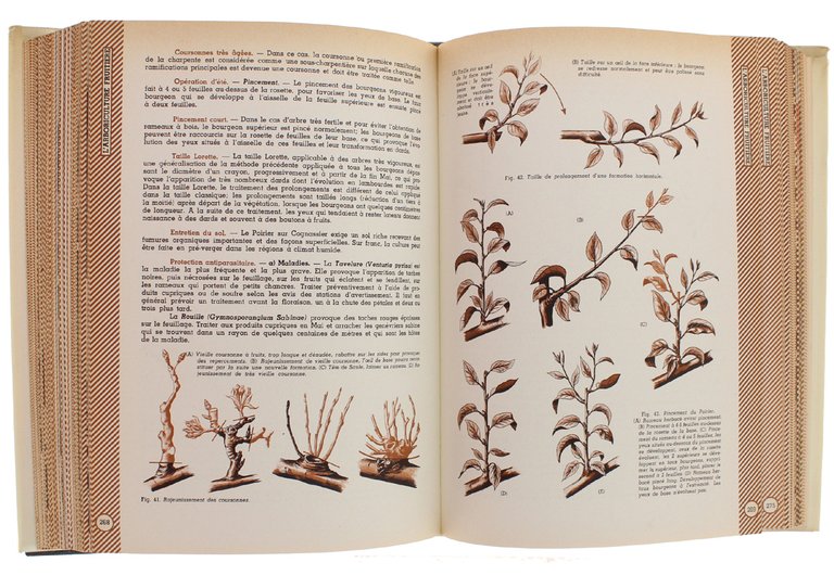 ENCYCLOPEDIE PRATIQUE DU JARDINAGE.