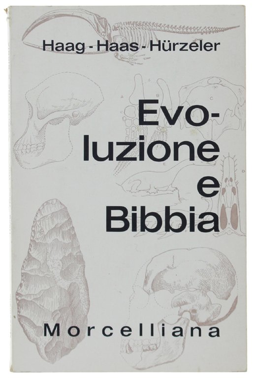 EVOLUZIONE E BIBBIA.