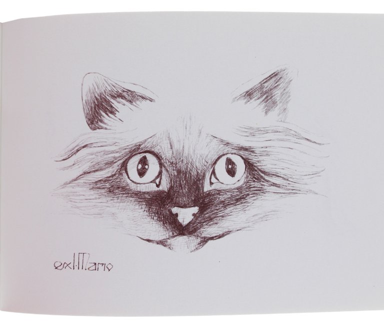 EX-LIBRIS D'ARTISTA dedicati a Mario Defilippis. Collezione di 46 libretti.