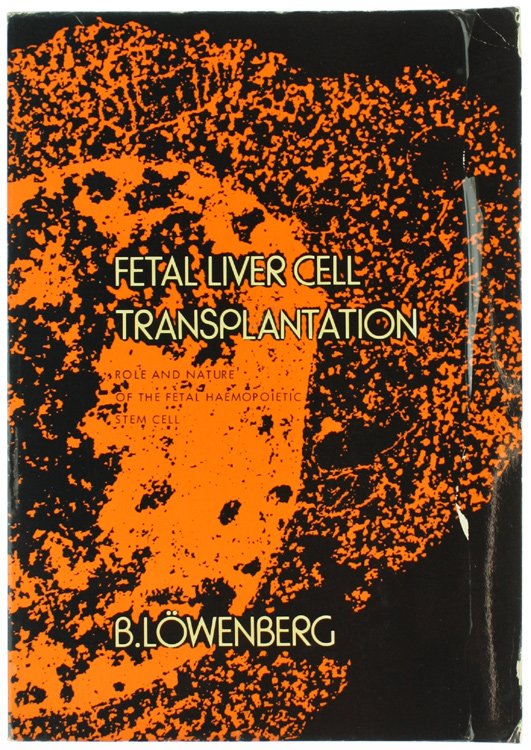 FETAL LIVER CELL TRANSPLANTATION - Role and Nature of the …