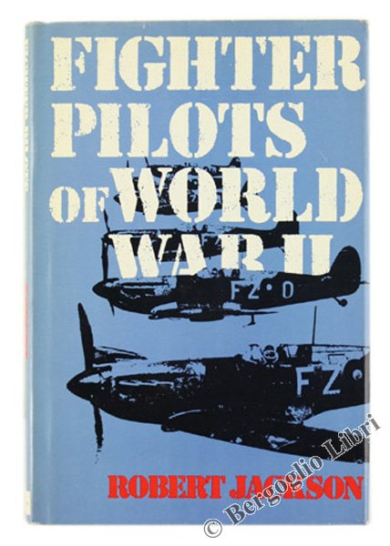 FIGHTER PILOTS OF WORLD WAR II.