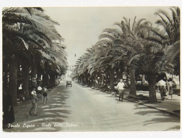 FINALE LIGURE - VIALE DELLE PALME (Cartolina).