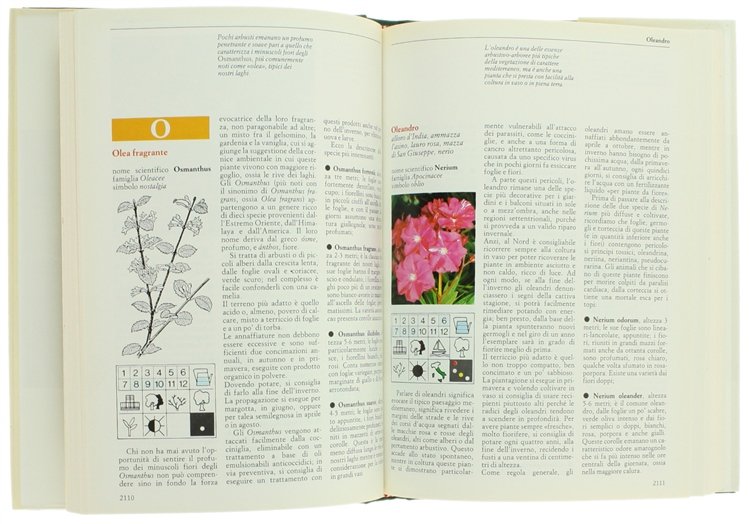 FIORI & PIANTE MESE PER MESE. [completa]