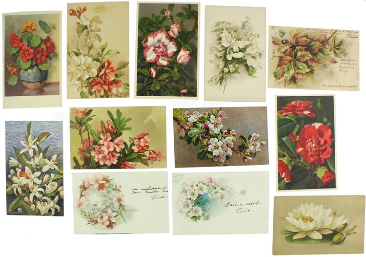 FIORI VARI: 12 CARTOLINE ILLUSTRATE ANTICHE.