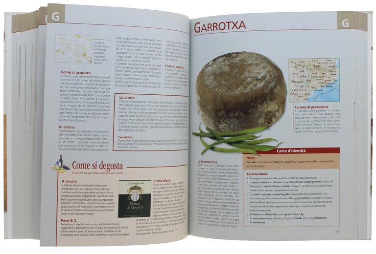 FORMAGGI DA TUTTO IL MONDO dalla A alla Z [volume …