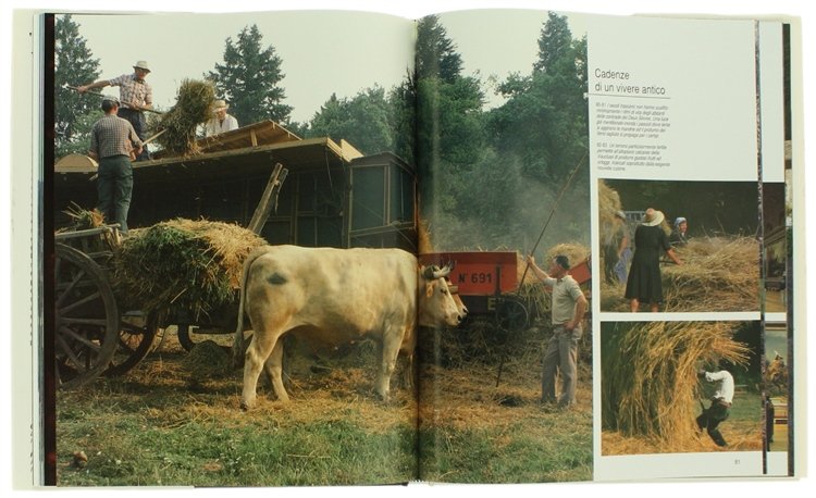 FRANCIA. La douceur de vivre.