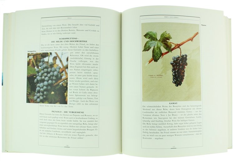 FRIAUL JULISCH-VENETIEN: SEINE WEINE UND WEINMACHER.