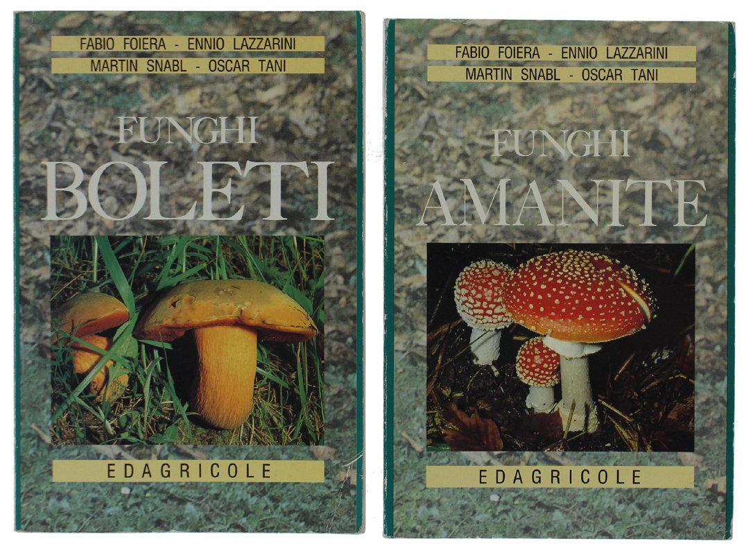 FUNGHI BOLETI + FUNGHI AMANITA [2 libri, buono stato] | Immagine principale