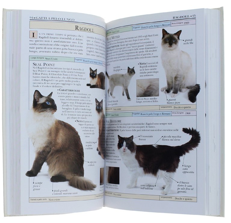 GATTI. Guida fotografica a oltre 250 specie di gatti di …