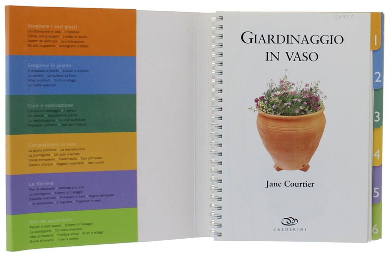GIARDINAGGIO IN VASO