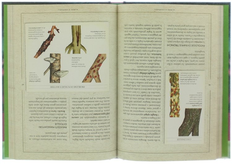 GIARDINAGGIO SENZA PROBLEMI.