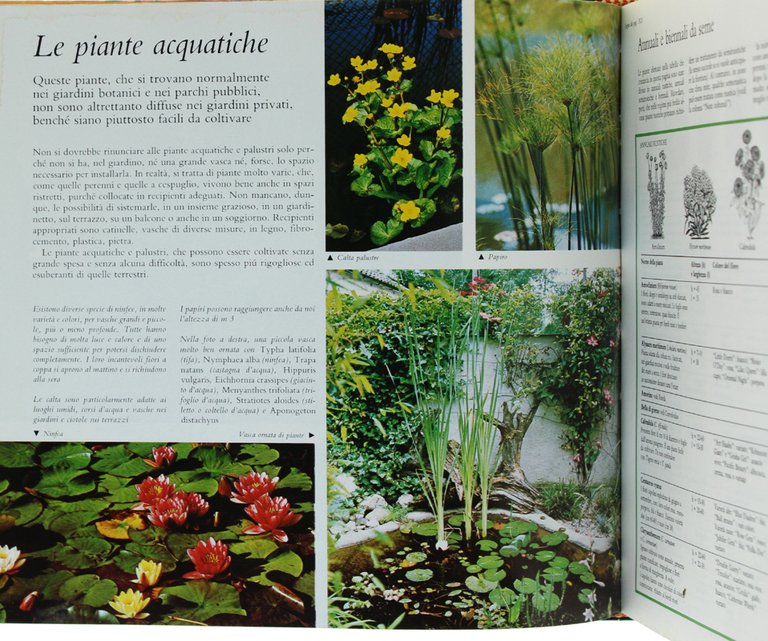 GIARDINAGGIO SENZA PROBLEMI. Guida completa. | Immagine Gallery 5