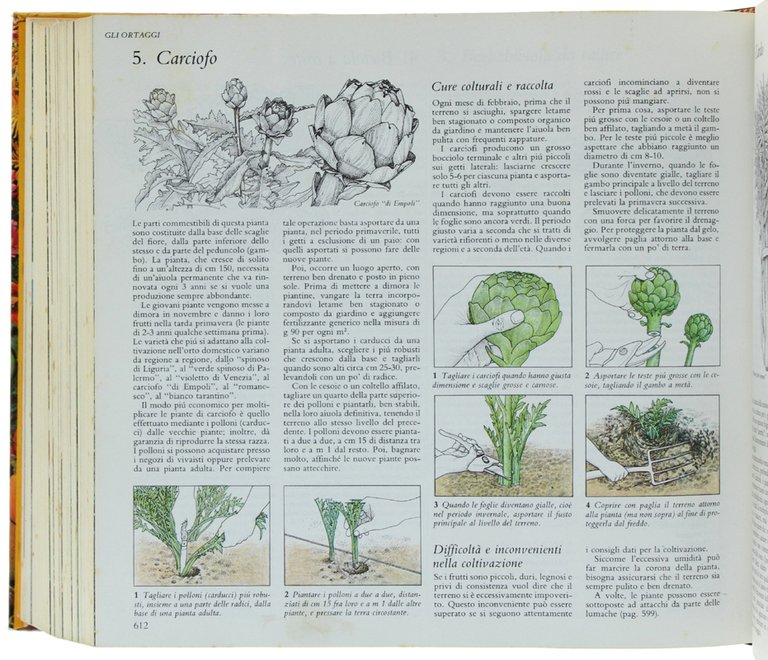 GIARDINAGGIO SENZA PROBLEMI. Guida completa. | Immagine Gallery 6