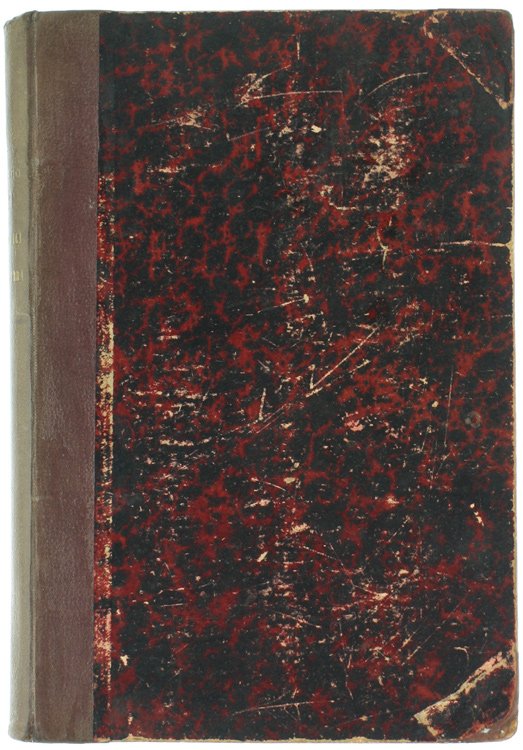 GLI ANGELI DELLA TERRA. Romanzo illustrato.