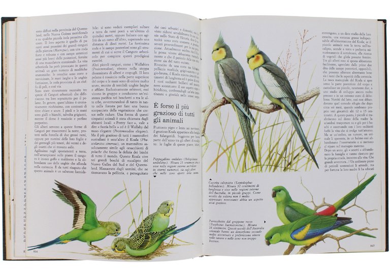 GLI ANIMALI. Tutti gli animali nel loro ambiente.