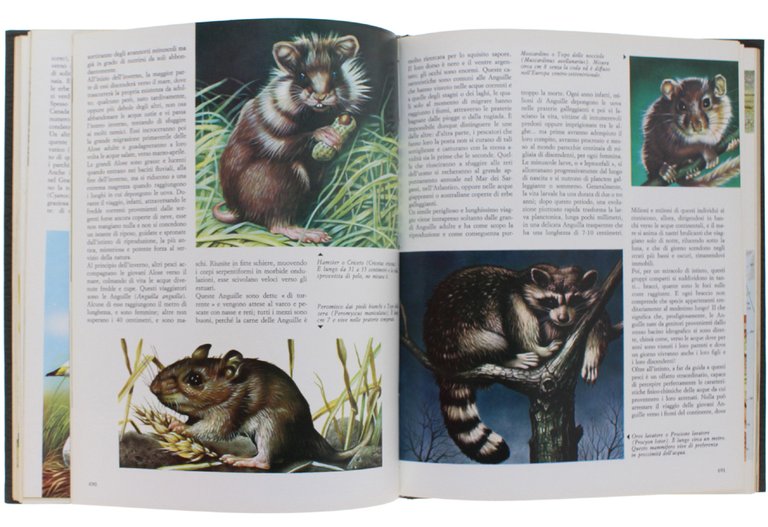 GLI ANIMALI. Tutti gli animali nel loro ambiente.