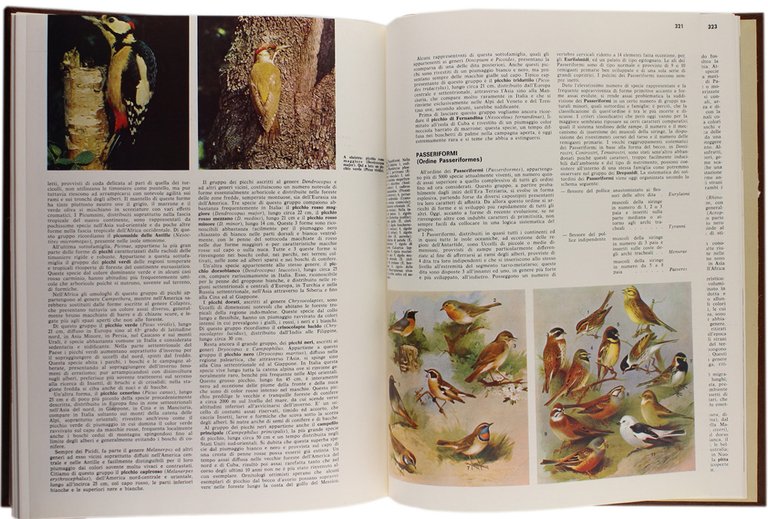 GLI ANIMALI VERTEBRATI. Enciclopedia Italiana delle Scienze.