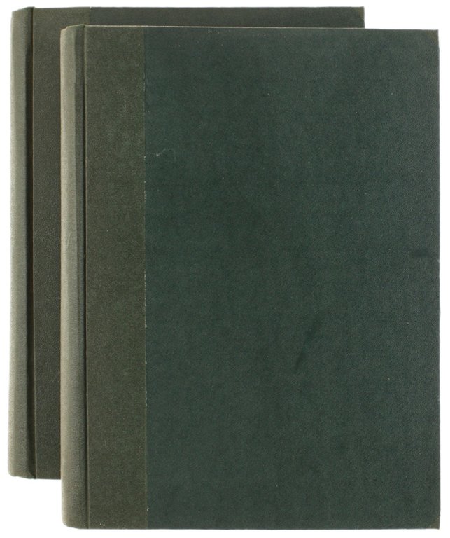 GLI ITALIANI E IL BEL PAESE. Parte II: REGNO D'ITALIA.