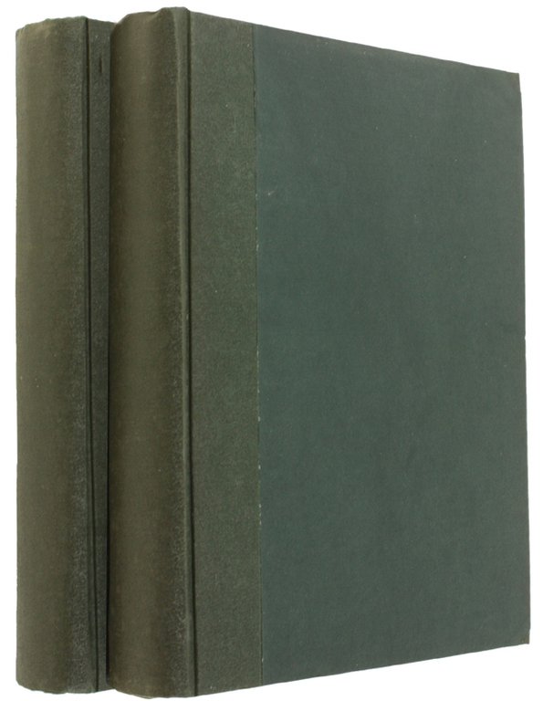 GLI ITALIANI E IL BEL PAESE. Parte II: REGNO D'ITALIA.