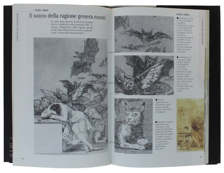 GOYA - ArtBook [volume nuovo]