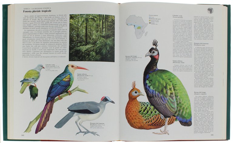 GRANDE ATLANTE DEGLI UCCELLI