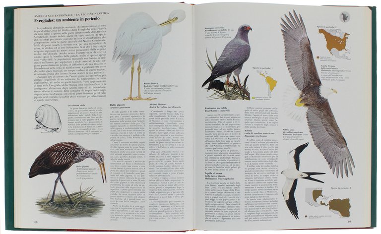 GRANDE ATLANTE DEGLI UCCELLI