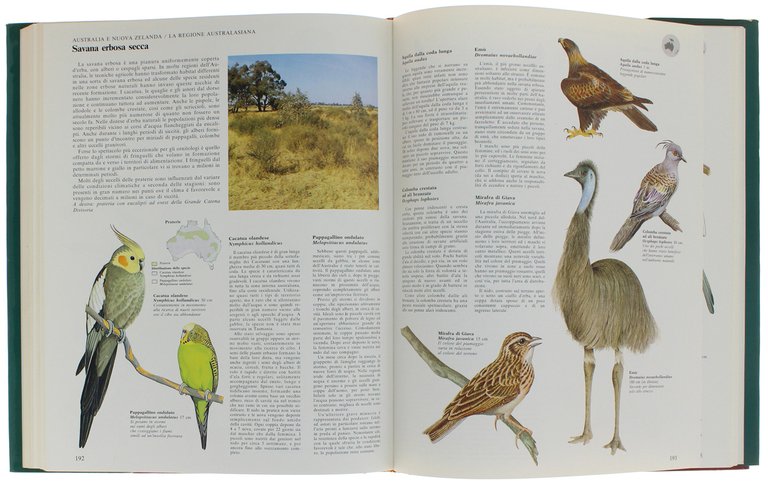 GRANDE ATLANTE DEGLI UCCELLI