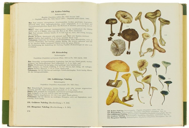 HANDBUCH FÜR PILZFREUNDE. Band 3: Hellblätter und Leistlinge.