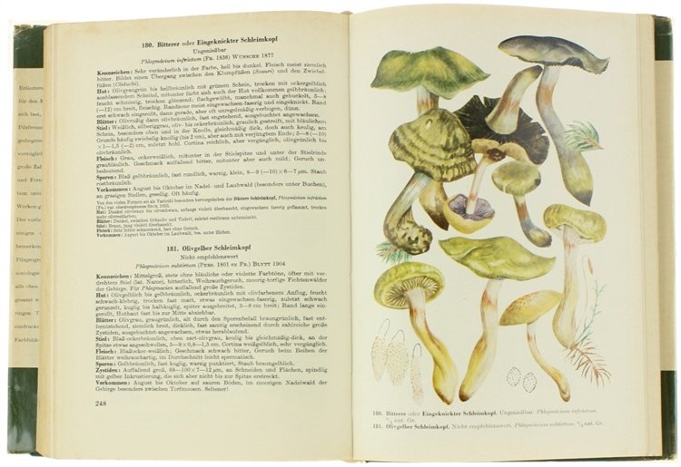 HANDBUCH FÜR PILZFREUNDE. Band 4: Blätterpilze - Dunkelblätter.