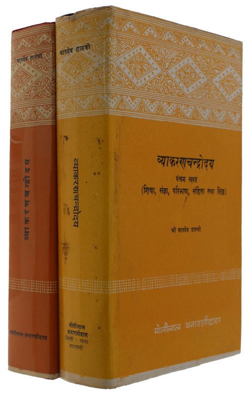 HINDI USED BOOKS: SET OF 2 VINTAGE BOOKS (1970-1990 nearly …