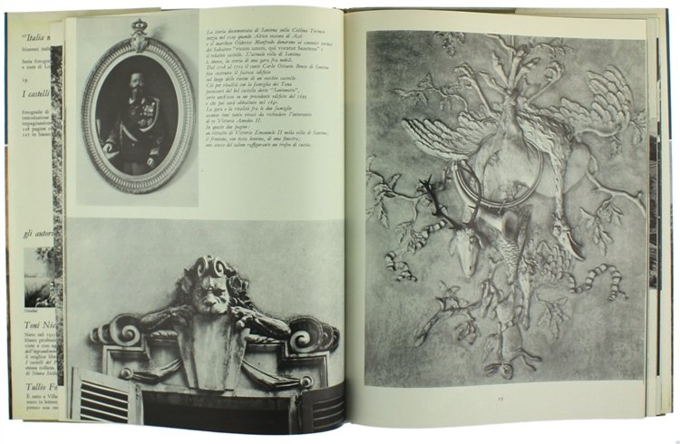 I CASTELLI DEL PIEMONTE (volume II).