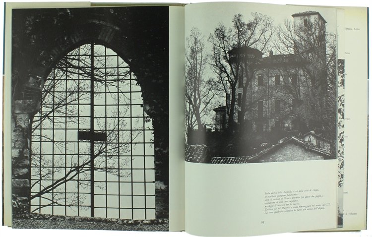 I CASTELLI DEL PIEMONTE (volume II).