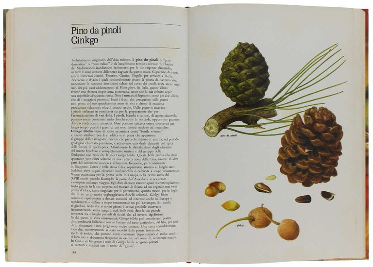 I FRUTTI DELLA TERRA Atlante delle piante alimentari. Presentazione di …