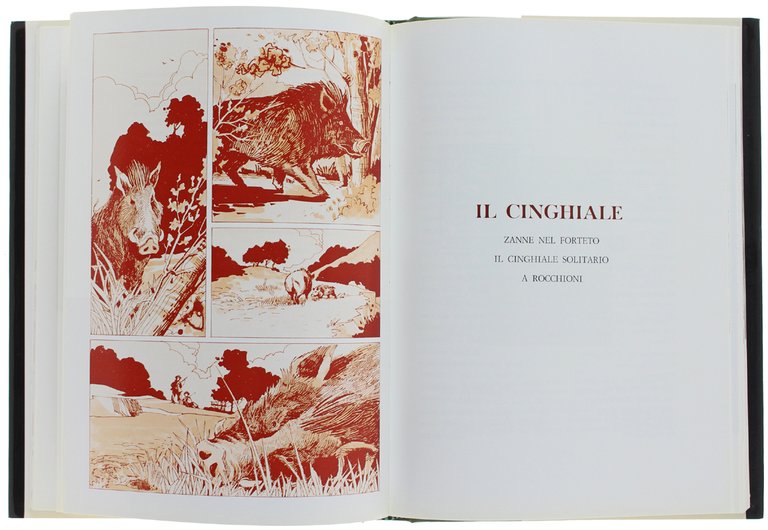 I GRANDI PROTAGONISTI DELLA NOSTRA CACCIA.