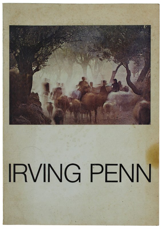 I PLATINI DI IRVING PENN. 25 anni di fotografia | Immagine principale