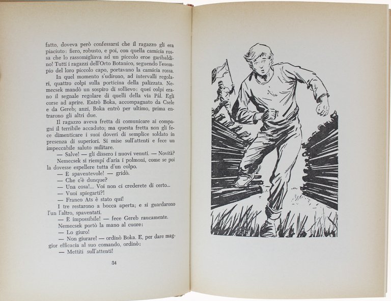 I RAGAZZI DI VIA PAL.