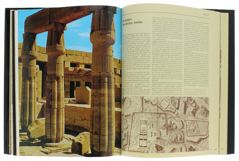 I TEMPLI DEL POTERE. I 100 monumenti che hanno fatto …